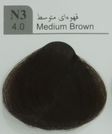 N3-4.0